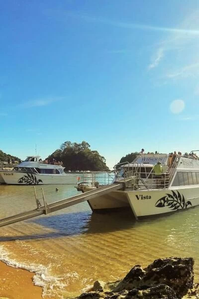 Wilsons Vista boats
