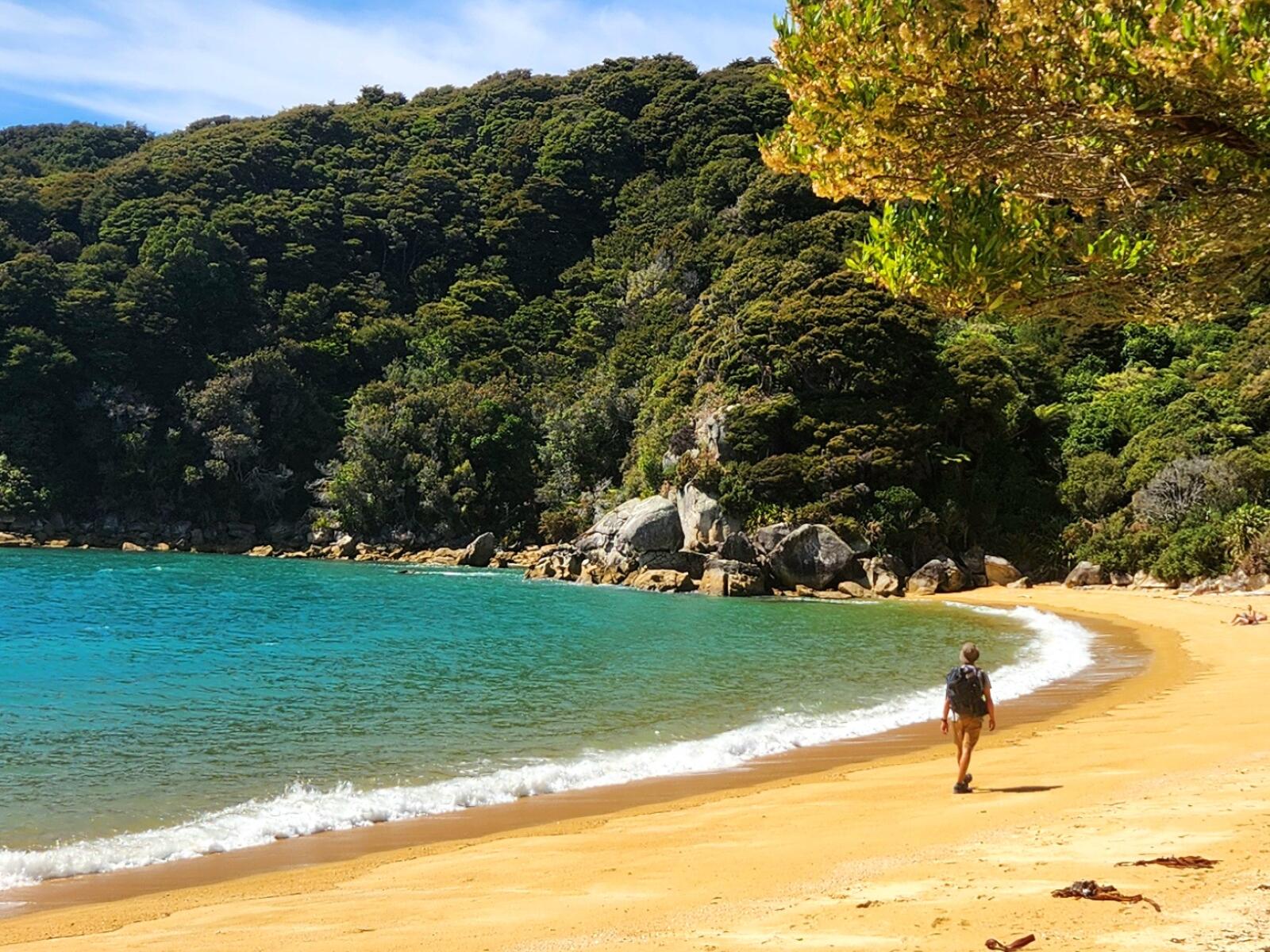 Walker overlooking Te Pukatea Bay in Abel Tasman National Park