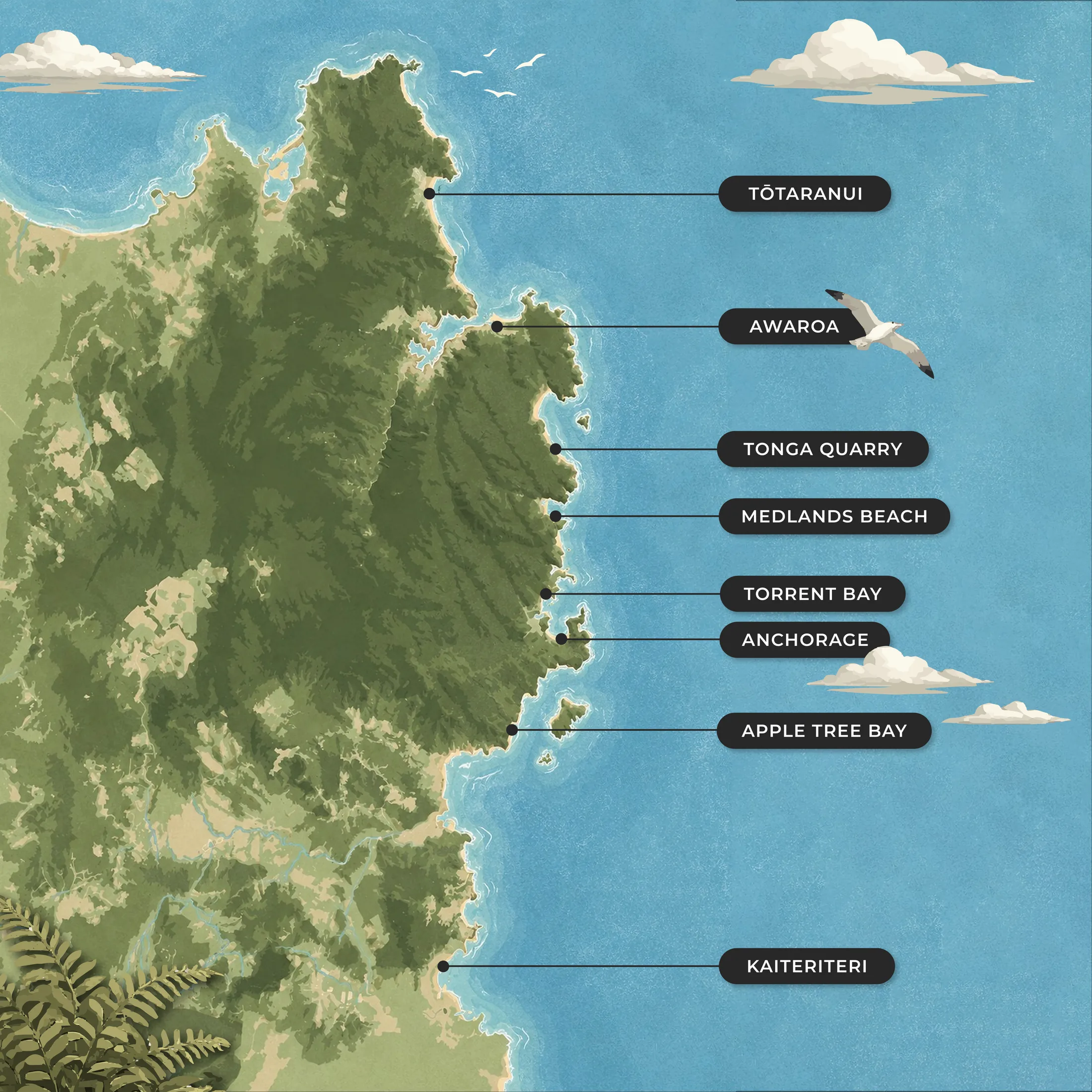 Abel Tasman coastline map